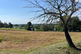 IDEALNO ZEMLJIŠTE ZA OBITELJSKU KUĆU NA POVIŠENOM DIJELU, Pazin, Land