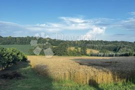 Kuća sa velikom okućnicom, Bjelovar - Okolica, Casa