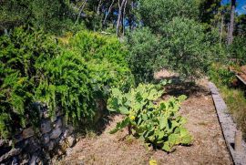 ZLARIN, jedinstvena vila i građevinska parcela nadomak mora sa spektakularnim pogledom, Šibenik - Okolica, Kuća