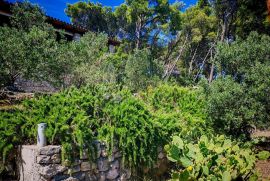 ZLARIN, jedinstvena vila i građevinska parcela nadomak mora sa spektakularnim pogledom, Šibenik - Okolica, Kuća