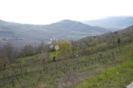 Pogled na Motovun, građevinsko, Pazin - Okolica, Land