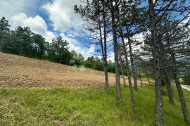 Građevinska parcela na mirnoj lokaciji, Kršan, Land