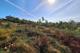 CRIKVENICA - ZEMLJIŠTE S PROJEKTOM I PANORAMSKIM POGLEDOM NA MORE, Crikvenica, Zemljište