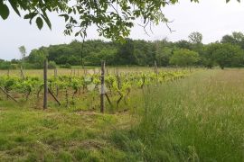 Poljoprivredno zemljište i vinograd, Labin, Zemljište