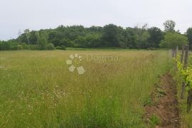 Poljoprivredno zemljište i vinograd, Labin, Zemljište