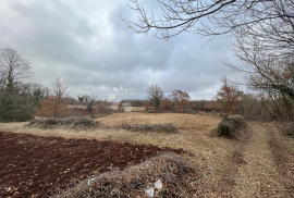 ZEMLJIŠTE S ISHODOVANOM GRAĐEVINSKOM DOZVOLOM I PLAĆENIM KOMUNALIJAMA, okolica Barbana, Barban, Tierra