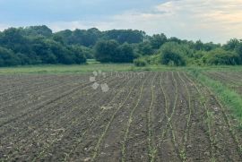 Prodaja Zemljišta u Ščitarjevu, Idealno za Različite Poduzetničke Ideje, Velika Gorica - Okolica, أرض