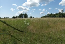 Građevinsko zemljište u okolici Žminja, Žminj, Land