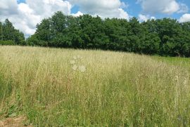 Građevinsko zemljište u okolici Žminja, Žminj, Land