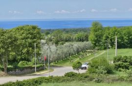 Skladište Višenamjenske Upotrebe i Uljara, Vodnjan, Ticari emlak