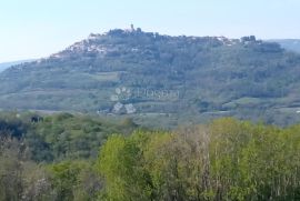 Kompleks zemljišta s otvorenim pogledom na Motovun, Motovun, أرض