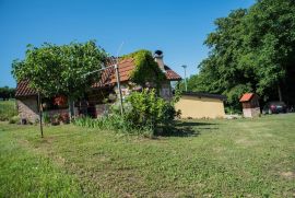 Ranč sa kućom u prekrasnoj prirodi, Jalžabet, House