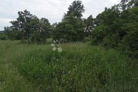 POLJOPRIVREDNO ZEMLJIŠTE BOKORDIĆI - 3055M2, Svetvinčenat, Land