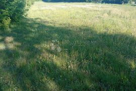 Prostrano građevinsko zemljište u okolici Pazina, Pazin - Okolica, Земля