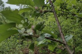 Zemljište za eko poljoprivredu, Dugo Selo Lasinjsko, Gvozd, Γη