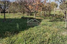 Surčin - Jakovo - 202m2+6.9a ID#23399, Surčin, بيت