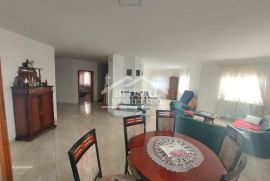 Smederevo - Jugovo - 390m2+10,12ari ID#23391, Smederevo, Ev