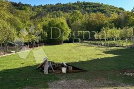 Kuća s lijepom velikom okućnicom, Vukšić, Gospić - Okolica, Kuća