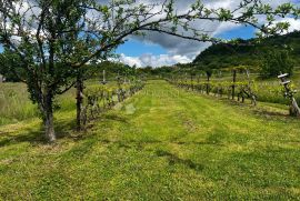 ODLIČNO GRAĐEVINSKO ZEMLJIŠTE NA PJEŠAČKOJ UDALJENOSTI DO SVIH SADRŽAJA, Labin, Land