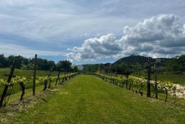 ODLIČNO GRAĐEVINSKO ZEMLJIŠTE NA PJEŠAČKOJ UDALJENOSTI DO SVIH SADRŽAJA, Labin, Land