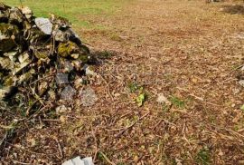 Građevinsko + poljoprivredno zemljište na mirnoj lokaciji, Marčana, Land