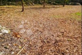 Građevinsko + poljoprivredno zemljište na mirnoj lokaciji, Marčana, Land