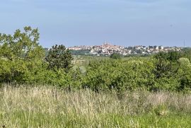 GRAĐEVINSKO ZEMLJIŠTE - POGLED KAO SA RAZGLEDNICE!, Buje, أرض