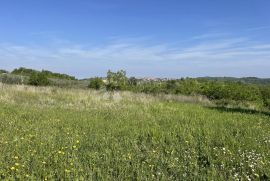 GRAĐEVINSKO ZEMLJIŠTE - POGLED KAO SA RAZGLEDNICE!, Buje, أرض