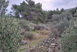 Poljoprivredno zemljište Hvar-Jelsa 9500m2, Hvar, Tierra