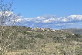 ZEMLJIŠTE SA POGLEDOM NA MORE I MASLINIKE, Buje, Terrain