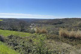 ZEMLJIŠTE SA TOP POGLEDOM I GRAĐEVINSKOM DOZVOLOM, Buje, Γη