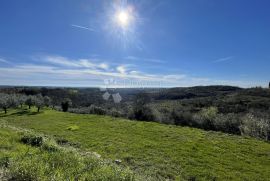 ZEMLJIŠTE SA TOP POGLEDOM I GRAĐEVINSKOM DOZVOLOM, Buje, Zemljište