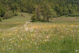 Zemljište u građevinskoj zoni, Mrkopalj, Terrain