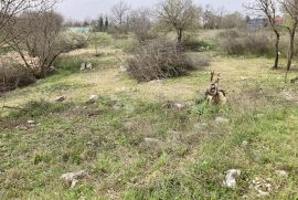 SAMO U DOGMI! GRAĐEVINSKO ZEMLJIŠTE ZA VAŠ BIJEG  U PRIRODU, Barban, Земля