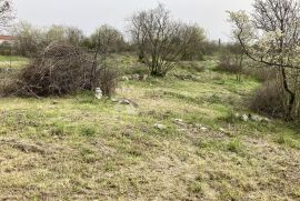 SAMO U DOGMI! GRAĐEVINSKO ZEMLJIŠTE ZA VAŠ BIJEG  U PRIRODU, Barban, Земля