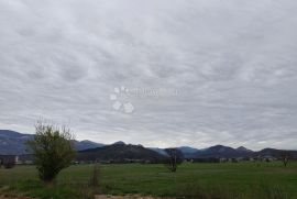 Dražice - zemljište za dugoročni najam, Jelenje, Land