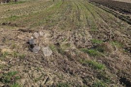 Građevinsko zemljište u Beretincu, Beretinec, Terrain