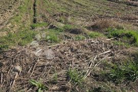 Građevinsko zemljište u Beretincu, Beretinec, Terrain