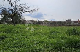 Građevinsko zemljište na odličnoj lokaciji, Vodnjan, Tierra