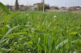 Građevinsko zemljište na odličnoj lokaciji, Vodnjan, Terra