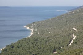 Poljoprivredni teren na Malom Lošinju-Ćunski, Mali Lošinj, Terra