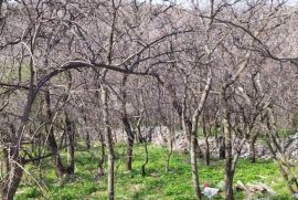 PREKRASNO ZEMLJIŠTE SA POGLEDOM NA MORE, Novi Vinodolski, أرض