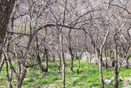 PREKRASNO ZEMLJIŠTE SA POGLEDOM NA MORE, Novi Vinodolski, أرض