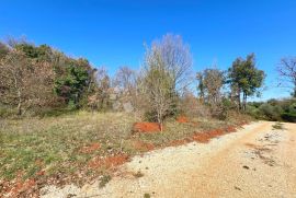 Prostrano poljoprivredno zemljište na rubu naselja, Ližnjan, Tierra