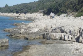 1. RED DO MORA! VELIKI TEREN na Malom Lošinju, Mali Lošinj, Terra