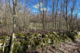 Veliko zemljište u Kosima, Viškovo, Land