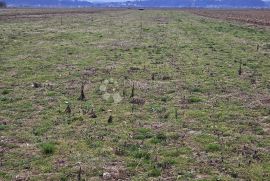 Zemljište za solarnu energanu, Petrijanec, أرض