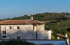 SNOVI O ISTARSKOJ KAMENOJ VILLI POSTAJU STVARNOST, Buje, Kuća