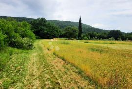 SAMO U PONUDI DOGME! PROSTRANO ZEMLJIŠTE MASLINIK !, Labin, Zemljište