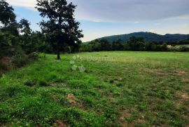 POLJOPRIVREDNO ZEMLJIŠTE LABIN, BLIZINA MORA 3,5 KM!, Labin, Zemljište